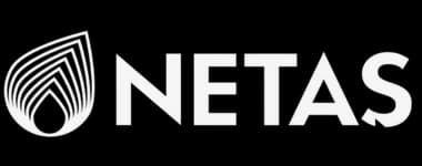 Netaş